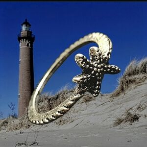 NEW Silver Starfish Ring